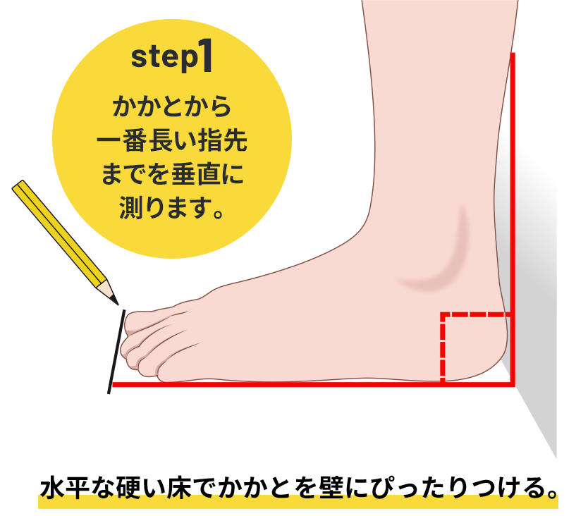 step1 かかとから一番長い指先までを垂直に測ります。