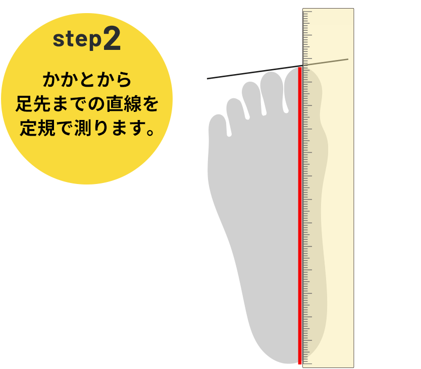 step2 かかとから足先までの直線を定規で測ります。